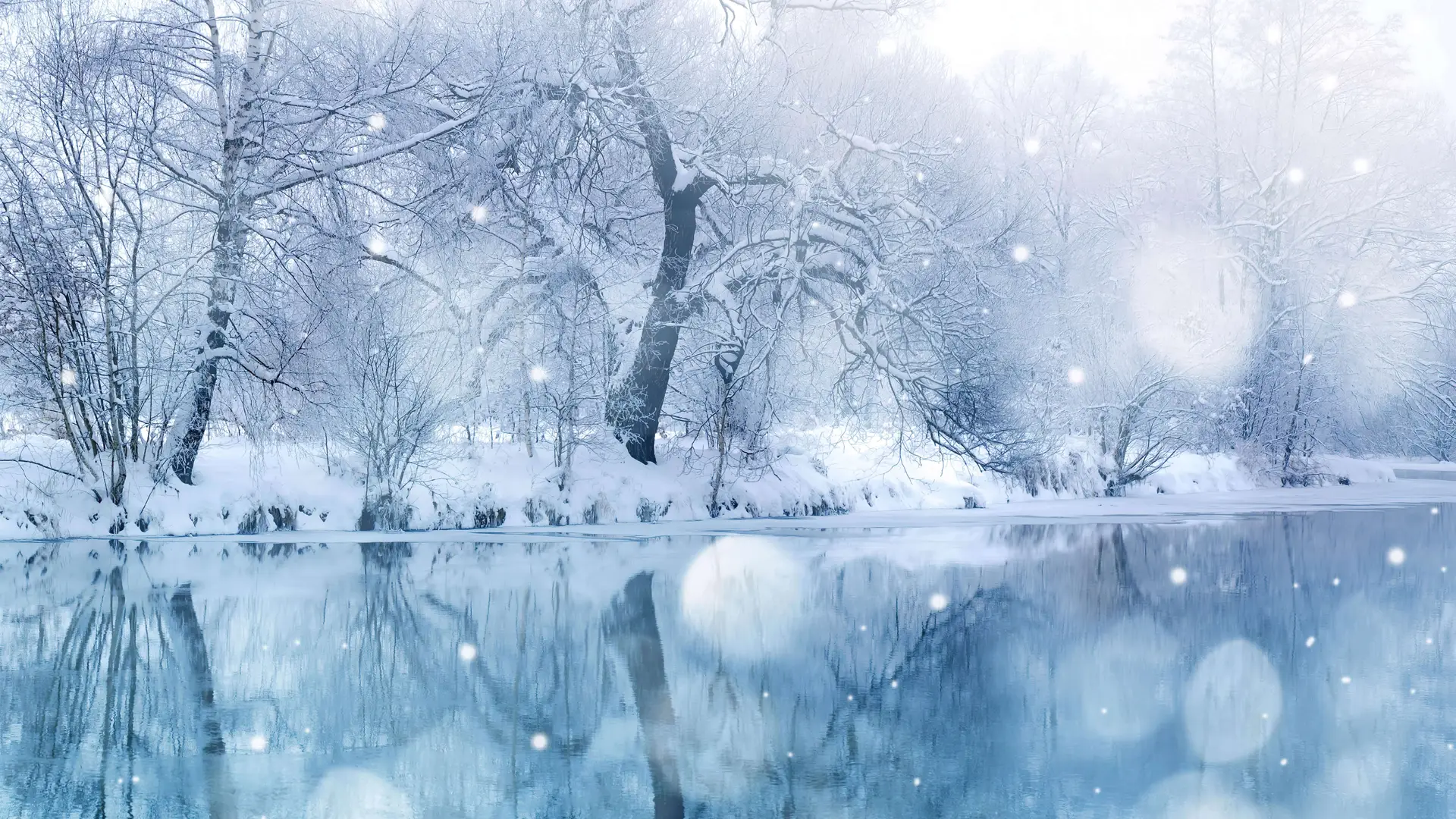 Dreamy Winter Forest and Frozen Lake Scene