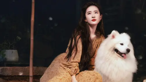 3840x2160 Desktop Wallpaper - 刘亦菲金棕印花长裙与白色萨摩耶 4K 电脑壁纸
