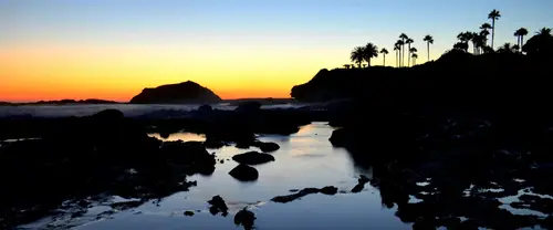 3840x1600 Ultrawide Wallpaper - 海边日落棕榈树剪影超宽屏壁纸