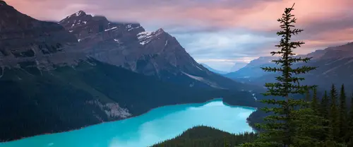 3840x1600 Ultrawide Wallpaper - 落基山脉翠湖松树超宽屏壁纸