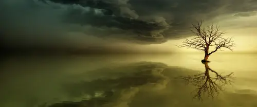 3840x1600 Ultrawide Wallpaper - 孤独的枯树与平静湖面超宽屏壁纸