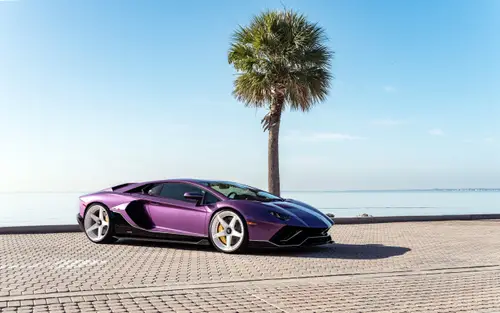 5120x3200 Desktop 汽车超跑 Wallpaper - 紫色兰博基尼超跑棕榈海岸4K电脑壁纸
