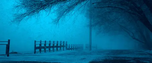 3840x1600 Ultrawide Wallpaper - 冬日蓝调雪景树林超宽屏壁纸