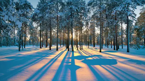 3745x2107 Desktop Wallpaper - 拉杜日内雪林金色斜阳树影电脑壁纸