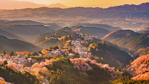 4476x2518 Desktop Wallpaper - 吉野山樱花日落自然风景4K电脑壁纸