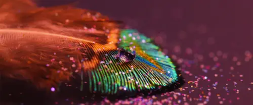 3840x1600 Ultrawide Wallpaper - 孔雀羽毛与水滴微距超宽屏壁纸