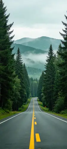 1440x3200 Mobile Wallpaper - 林间公路远山雾景手机壁纸