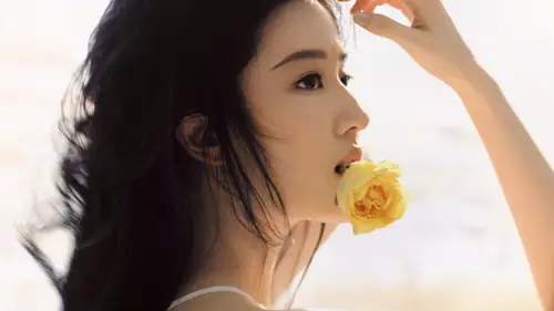 4500x2531 Desktop Wallpaper - 刘亦菲口衔黄玫瑰逆光侧脸写真4K电脑壁纸
