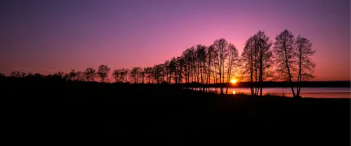 3840x1600 Ultrawide Wallpaper - 湖畔落日树木剪影超宽屏壁纸