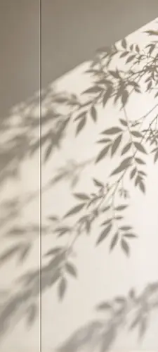 1440x3200 Mobile Wallpaper - 米色墙面树影光影手机壁纸