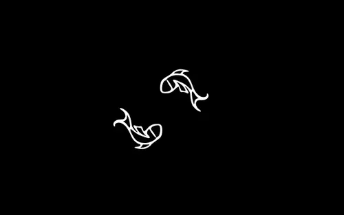 2560x1600 Desktop Wallpaper - 极简双鱼图腾黑白壁纸