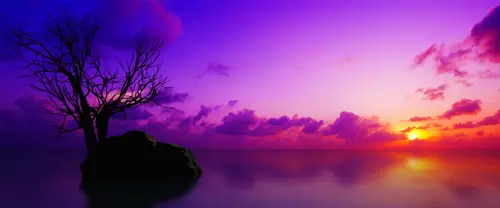 3840x1600 Ultrawide Wallpaper - 孤树礁石日落紫霞超宽屏壁纸