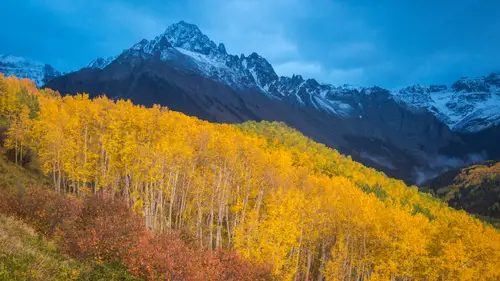 3840x2160 Desktop Wallpaper - 斯尼菲尔斯山下金黄白杨林与蓝云笼罩的雪峰