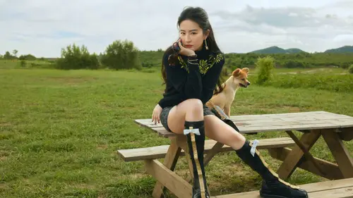 3840x2160 Desktop 人像摄影 Wallpaper - 刘亦菲草地野餐桌旁与犬写真 4K电脑壁纸