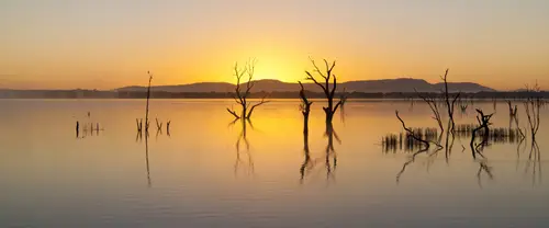 3840x1600 Ultrawide 自然风景 Wallpaper - 湖面枯树夕阳风景超宽屏壁纸