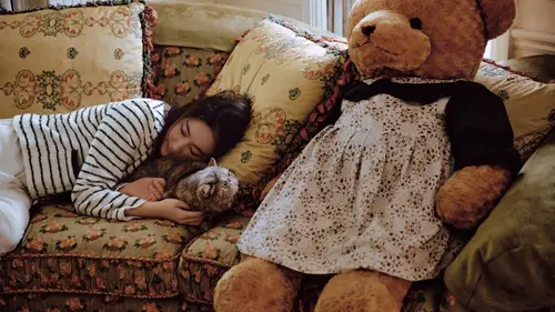 8024x4514 Desktop 人像摄影 Wallpaper - 刘亦菲躺在花纹沙发抱灰猫与碎花裙玩偶熊同框
