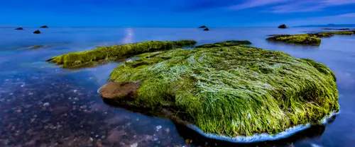 3840x1600 Ultrawide Wallpaper - 青苔海岸礁石超宽屏壁纸