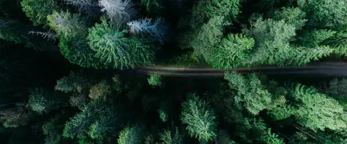 3840x1600 Ultrawide Wallpaper - 森林小路航拍鸟瞰超宽屏壁纸