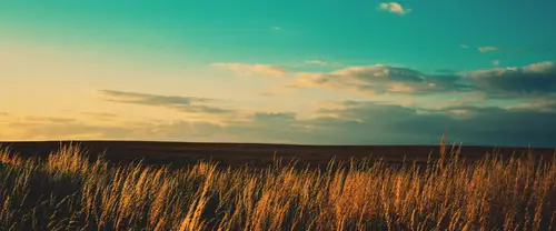 3840x1600 Ultrawide Wallpaper - 青空黄昏草原超宽屏壁纸