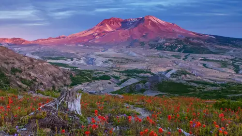 5591x3145 Desktop Wallpaper - 圣海伦火山日落野花4K电脑壁纸