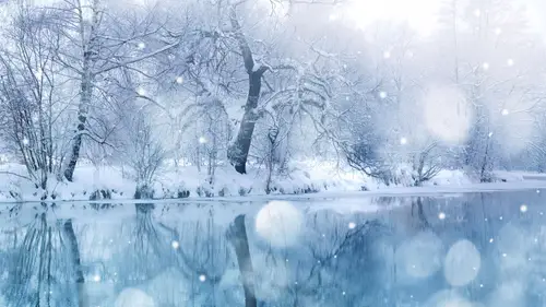7281x4096 Desktop 自然风景 Wallpaper - 冬日梦幻雪景森林