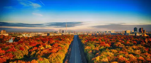 3840x1600 Ultrawide 城市建筑 Wallpaper - 柏林秋季橙红树林与笔直大道远眺电视塔