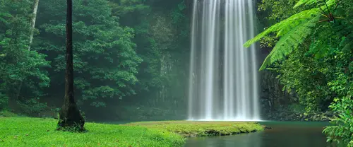 3840x1600 Ultrawide Wallpaper - 密林水潭瀑布翠绿草岸超宽屏壁纸