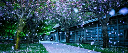 3840x1600 Ultrawide Wallpaper - 樱花纷飞日式庭院超宽屏壁纸
