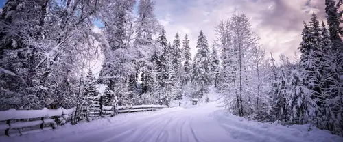 3840x1600 Ultrawide Wallpaper - 冬日雪景森林雪地小路超宽屏壁纸
