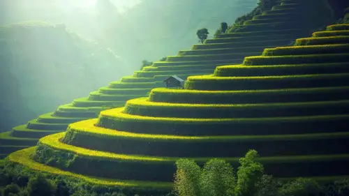 7680x4320 Desktop Wallpaper - 梯田晨雾日出 8K电脑壁纸