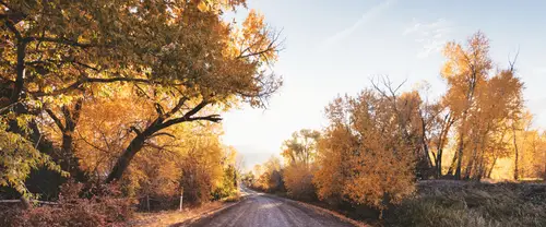 3840x1600 Ultrawide Wallpaper - 金秋落叶乡间小路超宽屏壁纸